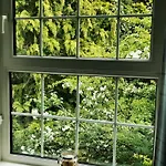 Balally House Bed & Breakfast Shannon