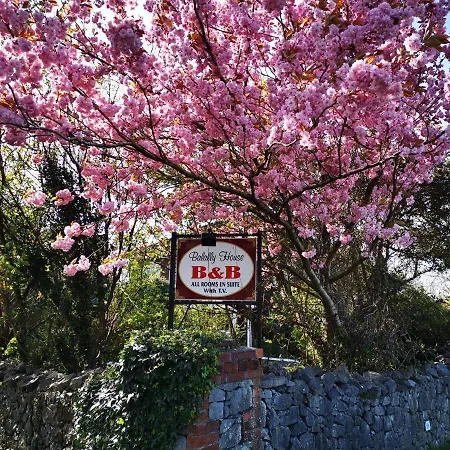 Bed & Breakfast Balally House Shannon