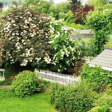 Balally House Bed & Breakfast Shannon