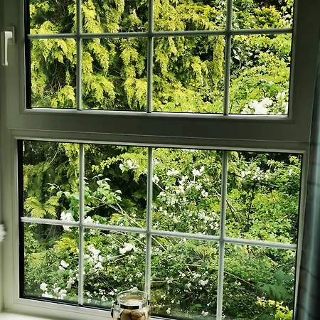 Balally House Bed & Breakfast Shannon