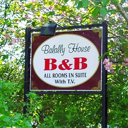 Bed & Breakfast Balally House Shannon
