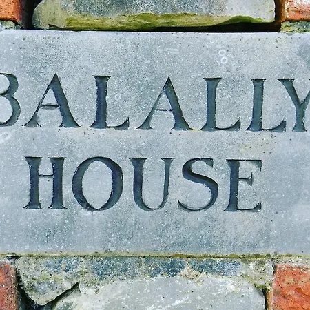 לינה וארוחת בוקר Balally House 3*