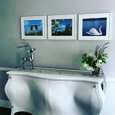 Balally House Shannon