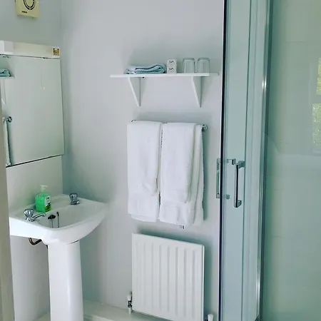 Bed & Breakfast Balally House Shannon