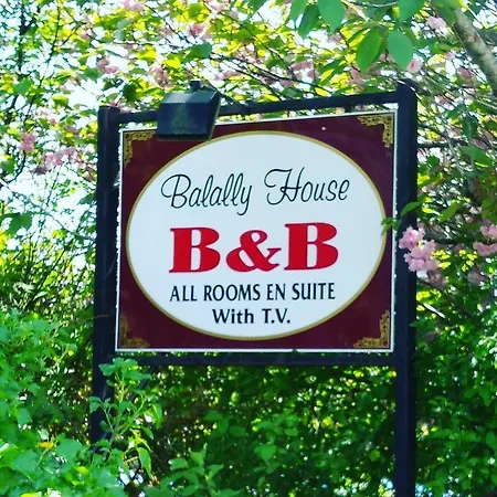 לינה וארוחת בוקר Balally House