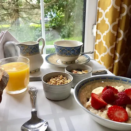 Balally House Shannon