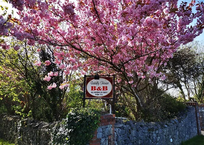 Bed and Breakfast Balally House Shannon