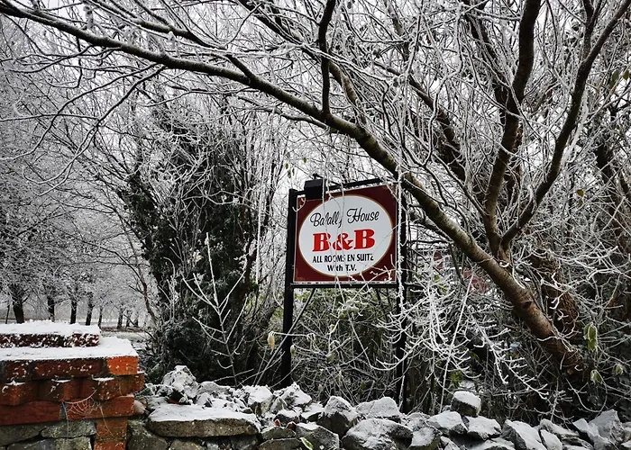 Bed and Breakfast Balally House 3*