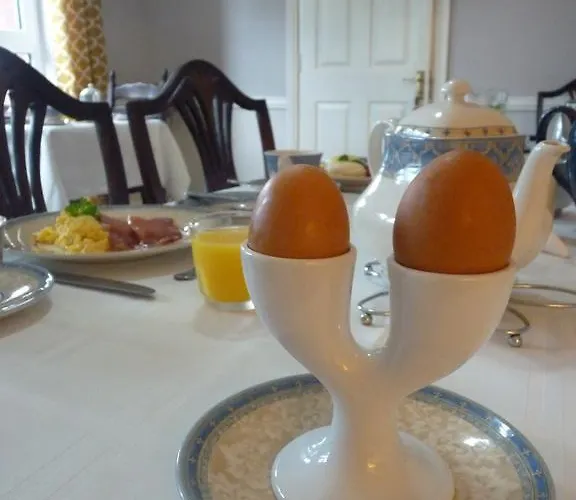 Bed and Breakfast Balally House Shannon